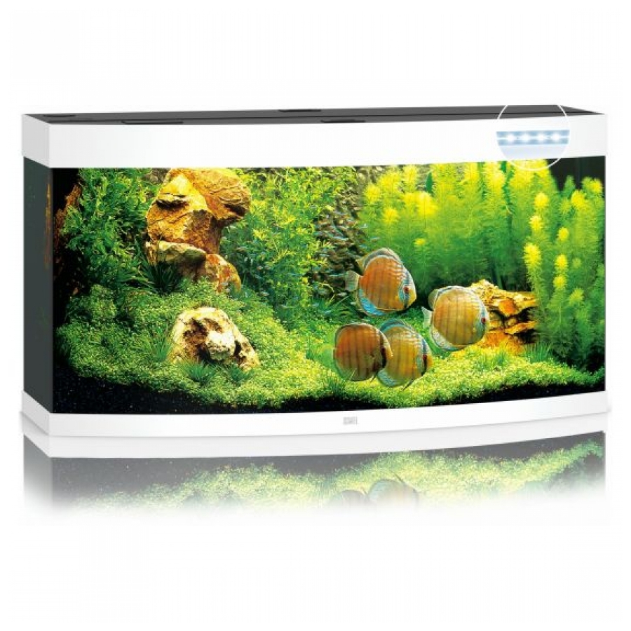 Juwel Aquarium Vision 260 Led Wit