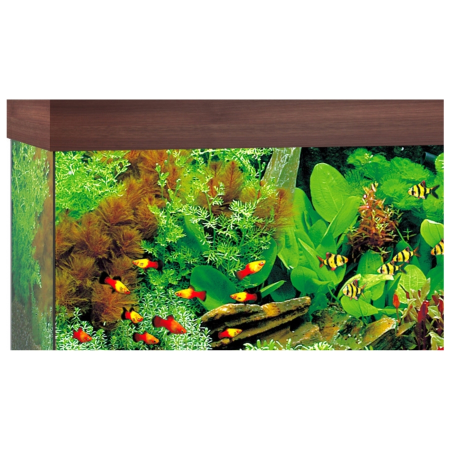 Juwel Aquarium Rio 125 Led - Donkere houtkleur