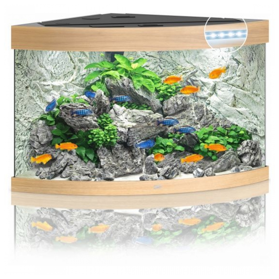 Juwel Aquarium Trigon 190 Led Licht hout