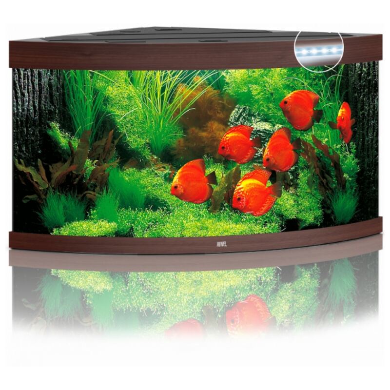 Juwel Aquarium Trigon 350 Led Donker hout