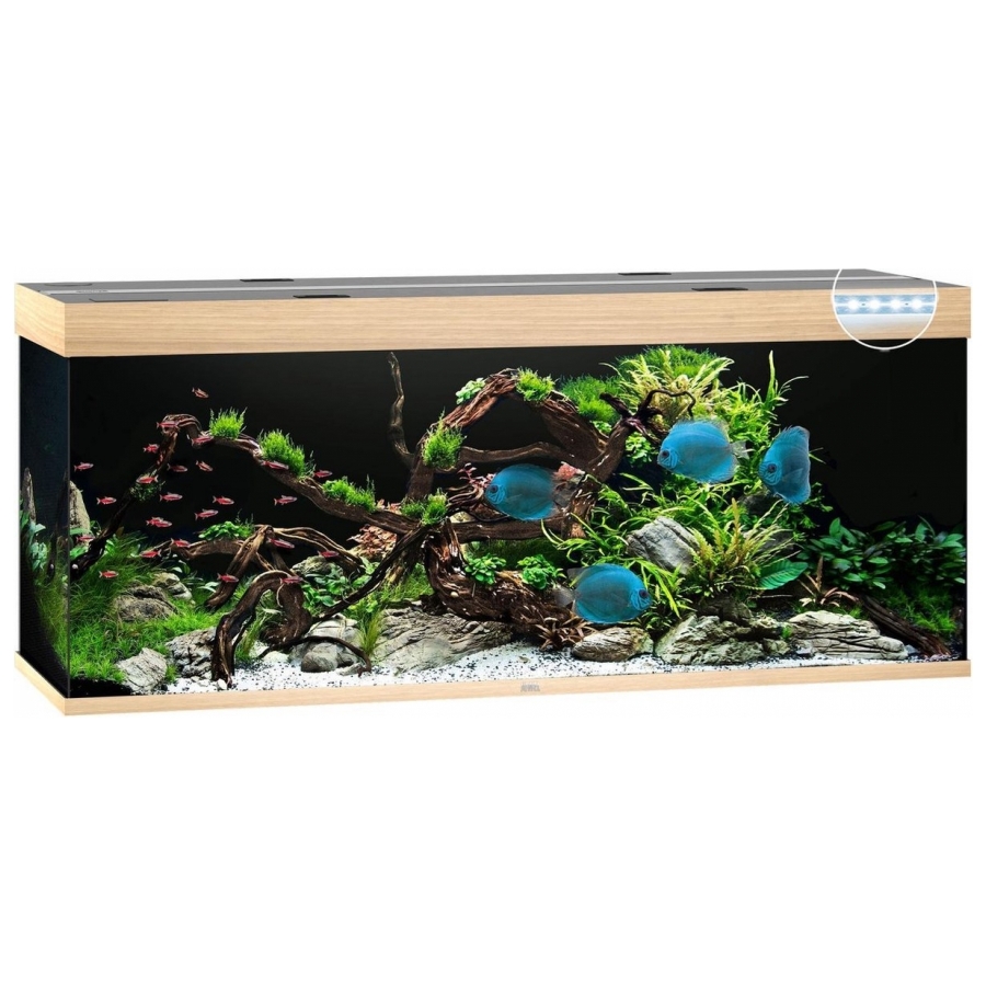 Juwel Aquarium Rio Aquariumcombinatie 450 SBX Licht hout