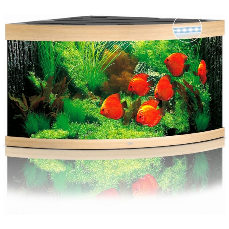 Juwel Aquarium Trigon 350 Led Licht hout