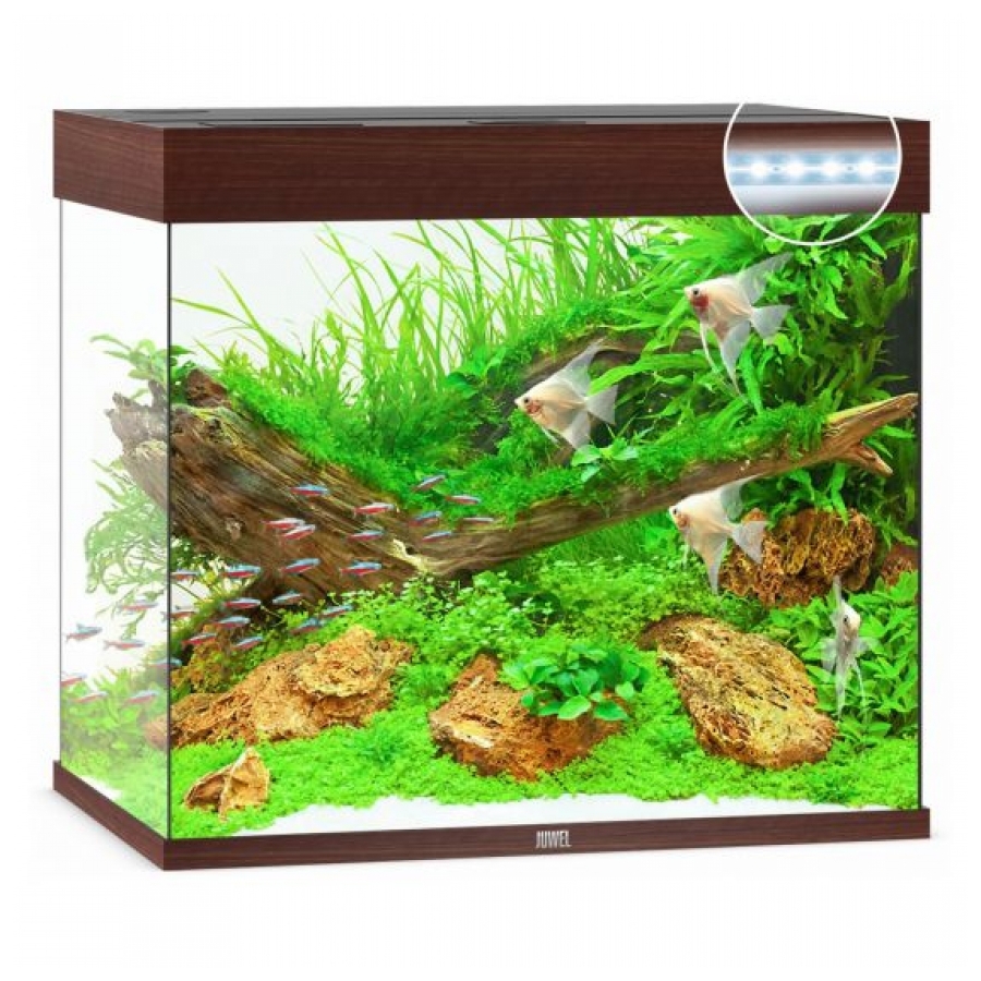 Juwel Aquarium Lido 200 Led Donker hout