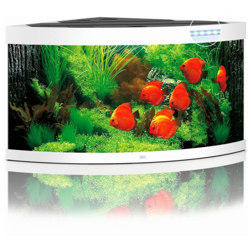 Juwel Aquarium Trigon 350 Led Wit