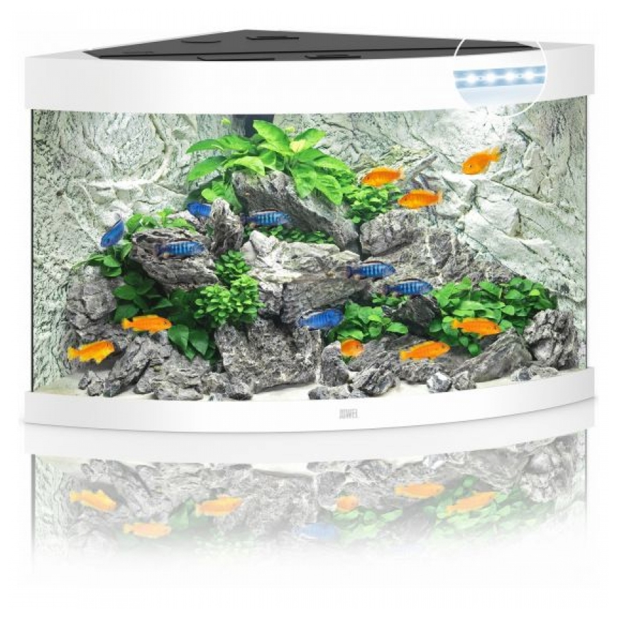 JUWEL Trigon 190 SBX Aquariumcombinatie met LED-verlichting, filter, verwarming en onderkast, Wit